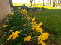 Hauptbild Garten, Garage komplett unterkellert möglicher Kamin